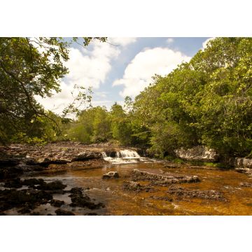 Lais Puzzle - Los Pozos Stream, San Jose del Guaviare, Guaviare, Kolumbien - 100, 200, 500 & 1.000 Teile