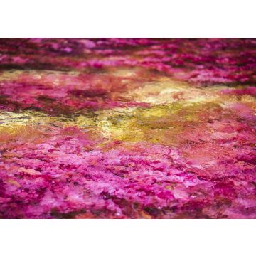 Lais Puzzle - Caño cristales, Kolumbien - 100, 200, 500 & 1.000 Teile