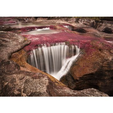 Lais Puzzle - Caño cristales, Kolumbien - 100, 200, 500 & 1.000 Teile