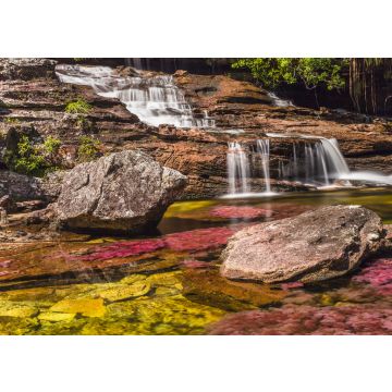 Lais Puzzle - Caño cristales, Kolumbien - 100, 200, 500 & 1.000 Teile