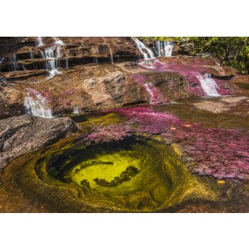 Lais Puzzle - Caño cristales, Kolumbien - 100, 200, 500 & 1.000 Teile