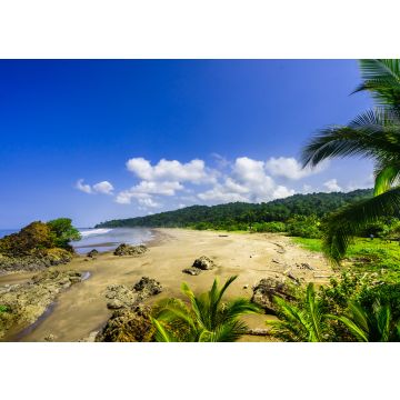 Lais Puzzle - Tropischer Strand Almejal an der Pazifikküste in der Nähe von El Valle in der Region Choco in Kolumbien - 100, 200, 500 & 1.000 Teile