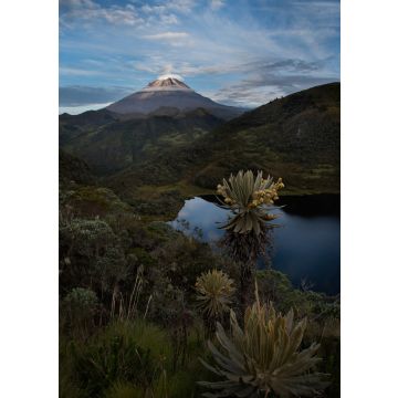Lais Puzzle - Schöne Landschaft.Tolima verschneit mit frailejones, See und Vegetation. Kolumbien - 100, 200, 500 & 1.000 Teile