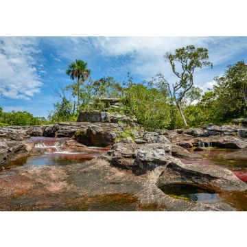 Lais Puzzle - Caño Cristales Kolumbien , Rio de Colores - 100, 200, 500 & 1.000 Teile