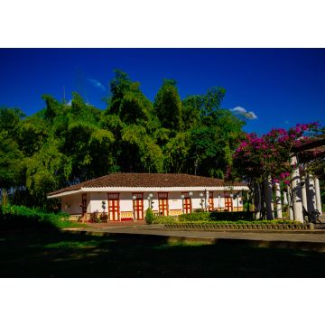 Lais Puzzle - Eje Cafetero Landschaft Kolumbien Biodiversität Guadual Wald Quindio Armenia Pereira Kolumbien - 100, 200, 500 & 1.000 Teile