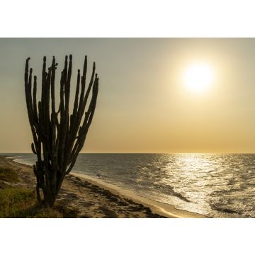 Lais Puzzle - Wüste Guajira, Kolumbien - 100, 200, 500 & 1.000 Teile