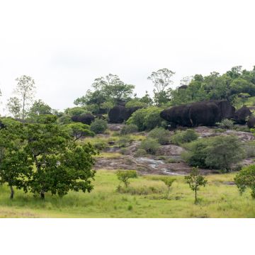 Lais Puzzle - El Tuparro Orinoco Park Felsformation Kolumbien - 100, 200, 500 & 1.000 Teile