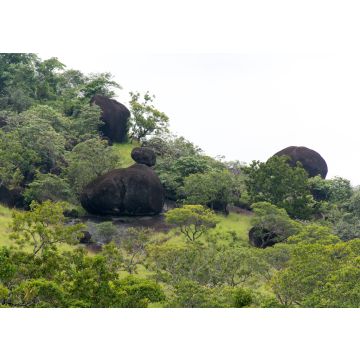Lais Puzzle - El Tuparro Orinoco Park Felsformation Kolumbien - 100, 200, 500 & 1.000 Teile