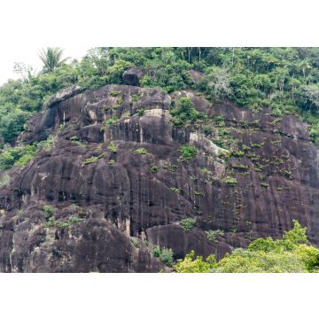 Lais Puzzle - El Tuparro Orinoco Park Felsformation Kolumbien - 100, 200, 500 & 1.000 Teile