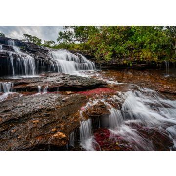 Lais Puzzle - Der Regenbogenfluss oder Fünf-Farben-Fluss ist in Kolumbien einer der schönsten Naturorte, er heißt Crystal Canyon - 100, 200, 500 & 1.000 Teile