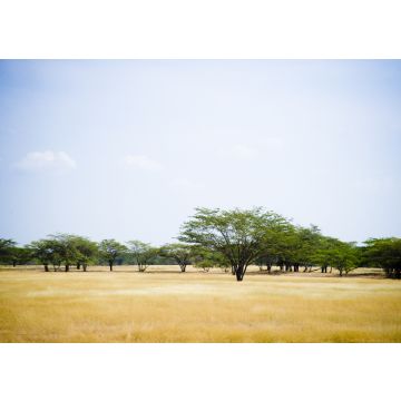 Lais Puzzle - Valledupar, Cesar, Kolumbien - 100, 200, 500 & 1.000 Teile