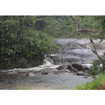 Lais Puzzle - Mitú-Wasserfall, Kolumbien - 100, 200, 500 & 1.000 Teile