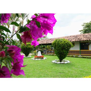 Lais Puzzle - Finca cafetera Quindio Kolumbien - 100, 200, 500 & 1.000 Teile