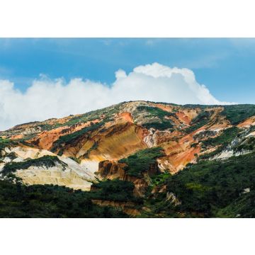 Lais Puzzle - Sabrinski-Wüste in Cundinamarca, Landschaft zwischen Trockenheit und Laub, Kolumbien - 100, 200, 500 & 1.000 Teile