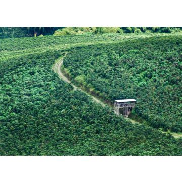 Lais Puzzle - Kaffee- und Orangenanbau in Chinchiná Caldas, Kolumbien, Kaffee-Kulturlandschaft - 100, 200, 500 & 1.000 Teile