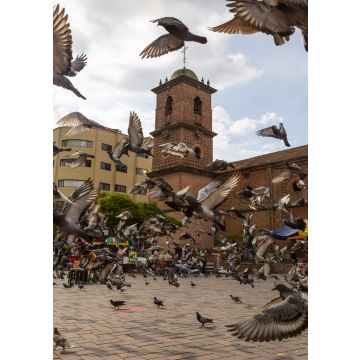 Lais Puzzle - Cali, Valle del Cauca, Kolumbien - 100, 200, 500 & 1.000 Teile