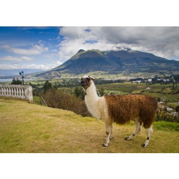 Lais Puzzle - Imbabura, Ecuador - 100, 200, 500 & 1.000 Teile