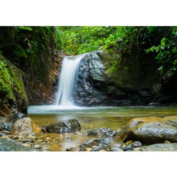 Lais Puzzle - Podocarpus, Ecuador - 100, 200, 500 & 1.000 Teile