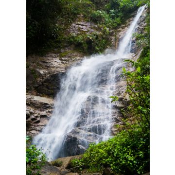 Lais Puzzle - Podocarpus, Ecuador - 100, 200, 500 & 1.000 Teile