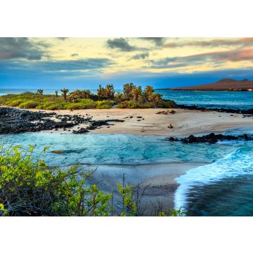 Lais Puzzle - Galapagos-Inseln, Ecuador - 100, 200, 500 & 1.000 Teile