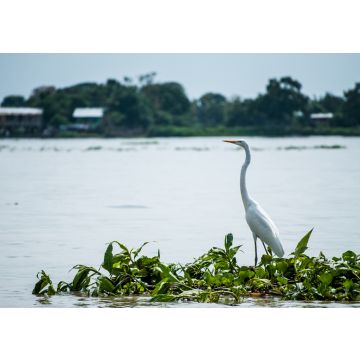 Lais Puzzle - Samborondón-Guayas Ecuador - 100, 200, 500 & 1.000 Teile