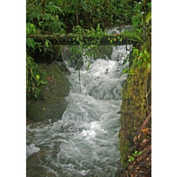 Lais Puzzle - Wasserfall Ecuador - 100, 200, 500 & 1.000 Teile