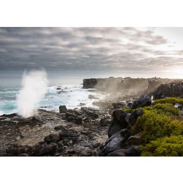 Lais Puzzle - Galapagos-Inseln, Ecuador - 100, 200, 500 & 1.000 Teile