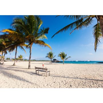 Lais Puzzle - Strand auf der Galapagos-Insel Isabela, Ecuador - 100, 200, 500 & 1.000 Teile