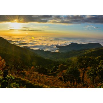 Lais Puzzle - Landschaft von Paccha, El Oro, Ecuador - 100, 200, 500 & 1.000 Teile