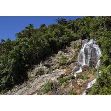 Lais Puzzle - Wasserfall im Podocarpus-Nationalpark, Ecuador - 100, 200, 500 & 1.000 Teile