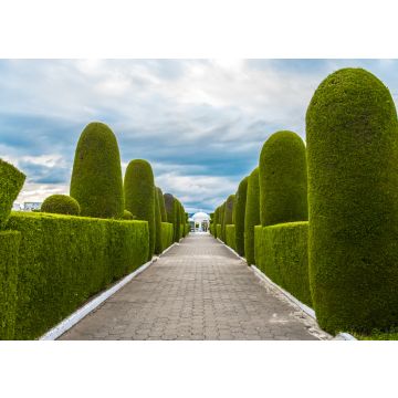 Lais Puzzle - Weg im Park, Ecuador - 100, 200, 500 & 1.000 Teile