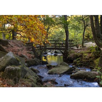 Lais Puzzle - Brücke im Padley Gorge Waldgebiet im Herbst, schöne Farben des Peak District, England - 100, 200, 500 & 1.000 Teile