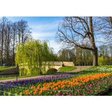 Lais Puzzle - River Cam in der Nähe des Kings College in Cambridge, England - 100, 200, 500 & 1.000 Teile