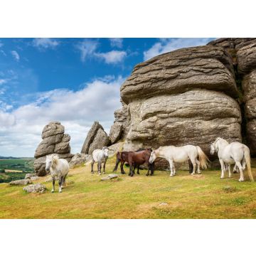 Lais Puzzle - Dartmoor Ponys in der Nähe von Saddle Tor, Dartmoor, Devon, England - 100, 200, 500 & 1.000 Teile