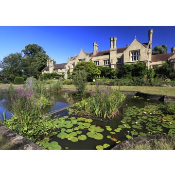 Lais Puzzle - RSPB Lodge, Sandy Heath, Sandy Stadt, Bedfordshire, England - 100, 200, 500 & 1.000 Teile