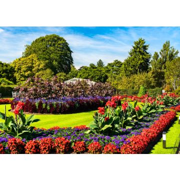 Lais Puzzle - Blumen in den Kew Royal Botanic Gardens in London, England - 100, 200, 500 & 1.000 Teile