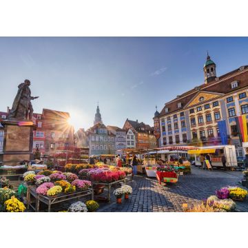 Lais Puzzle - Ansicht des Marktplatzes in Coburg, Bundesland Bayern, Deutschland - 100, 200, 500 & 1.000 Teile