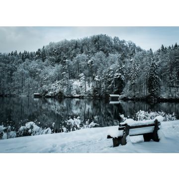 Lais Puzzle - Ansicht von Füssen, Bundesland Bayern, Deutschland - 40, 100, 200, 500, 1.000 & 2.000 Teile