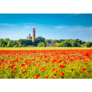 Lais Puzzle - Ansicht des Leuchtturms Kap Arkona, Land Mecklenburg-Vorpommern, Deutschland. - 100, 200, 500 & 1.000 Teile