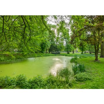 Lais Puzzle - Blick auf den Kellinghusener Park im Stadtteil Eppendorf. Bundesland Hamburg, Deutschland. - 100, 200, 500 & 1.000 Teile