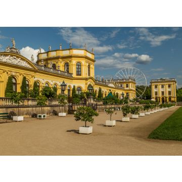 Lais Puzzle - Ansicht eines Gewächshauses in Kassel, Hessen, Deutschland. - 100, 200, 500 & 1.000 Teile