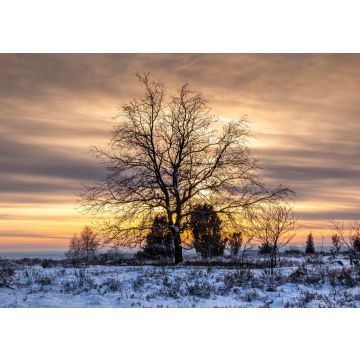 Lais Puzzle - Blick auf den Naturpark Lüneburg, Lüneburg, Niedersachsen, Deutschland. - 100, 200, 500 & 1.000 Teile