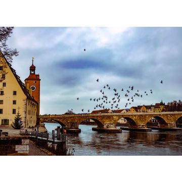 Lais Puzzle - Ansicht von Regensburg, Deutschland - 100, 200, 500 & 1.000 Teile