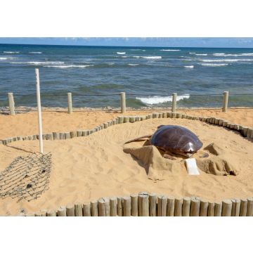 Lais Puzzle - Projekt Tamar am Praia do Forte in Brasilien - 100, 200, 500 & 1.000 Teile
