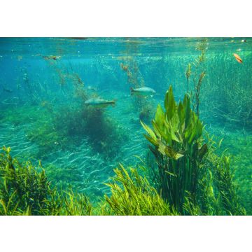 Lais Puzzle - Bonito, Mato Grosso do Sul, Brasilien - 100, 200, 500 & 1.000 Teile