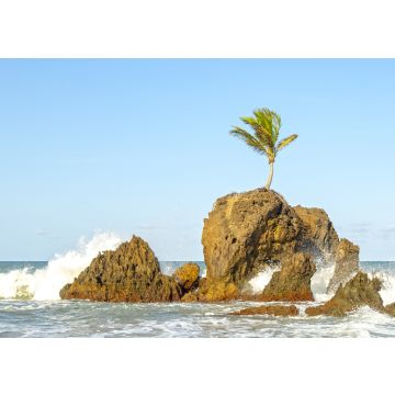 Lais Puzzle - Praias - Paraíba, Brasilien - 100, 200, 500 & 1.000 Teile