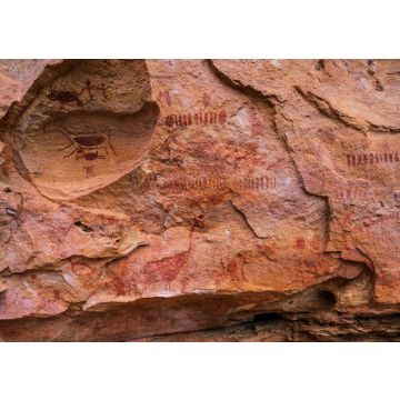 Lais Puzzle - Der Nationalpark Serra da Capivara liegt in der Caatinga, dem einzigen ausschließlich brasilianischen Biome, Piaui - Brasilien - 100, 200, 500 & 1.000 Teile