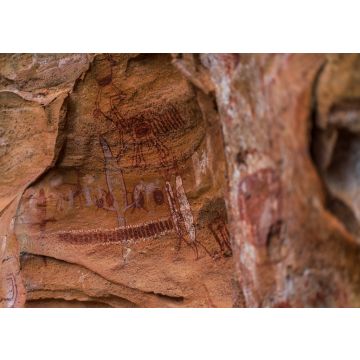 Lais Puzzle - Der Nationalpark Serra da Capivara liegt in der Caatinga, dem einzigen ausschließlich brasilianischen Biome. Piaui - Brasilien - 100, 200, 500 & 1.000 Teile