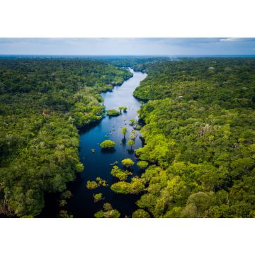 Lais Puzzle - Amazonas-Regenwald im Anavilhanas-Nationalpark, Amazonas - Brasilien - 100, 200, 500 & 1.000 Teile