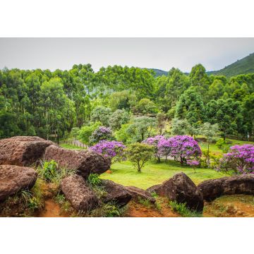 Lais Puzzle - Felsbrocken, Berge und Natur in Poços de Caldas, Minas Gerais, Brasilien - 100, 200, 500 & 1.000 Teile